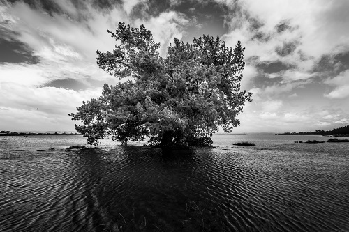 New Zealand, Rabbit Island, Southern Island