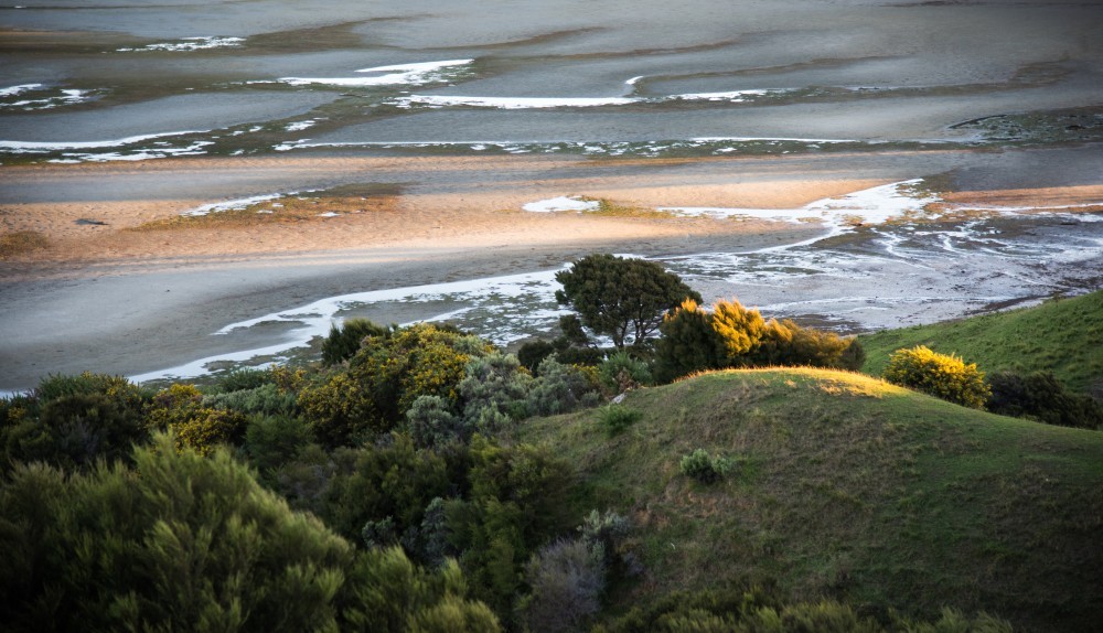 New Zealand, Small Lights